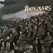真心COVERS