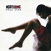 Ngọt & Đắng