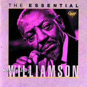 Lonesome Cabin by Sonny Boy Williamson