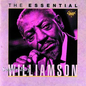 Unseen Eye by Sonny Boy Williamson