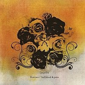 florence/3rd blood & pain