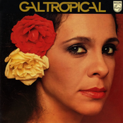 Estrada Do Sol by Gal Costa