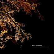 new tunes for amplified instruments - Debutalbum 2009