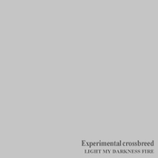 LIGHT MY DARKNESS FIRE