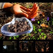 A Flash Flood of Colour (2019)