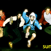 Sunroots