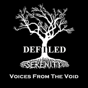 Voices From The Void