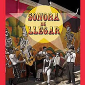 Sudateste by Sonora De Llegar