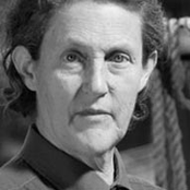 temple grandin