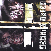 Picture Perfect World