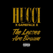 The Leaves Are Brown