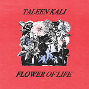 Taleen Kali: Flower of Life