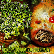 Inorganic Cloacal Pregnacy