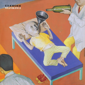 Silkworm: Firewater