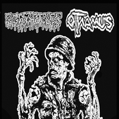 Agathocles / Otnamus