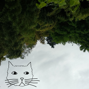 good to see you're still among the living