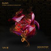 Stabs, Chicken & Purgatory