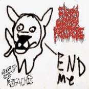 20 tracks about insects, 25 tracks about hating landlords, racists, homophobes and transphobes