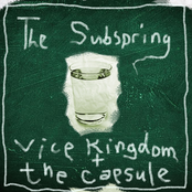 Vice Kingdom and the Capsule
