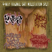 4-Way Vaginal Shit Molestation Split