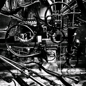 Decomponents