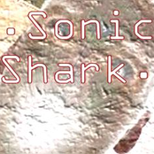 sonic shark