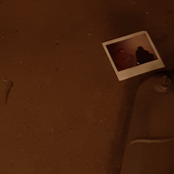 Frankie vs Her World