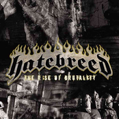 Straight To Your Face by Hatebreed