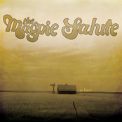 The Magpie Salute: In Here