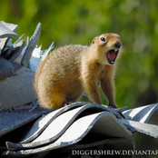 SleepinessTemp-102Project