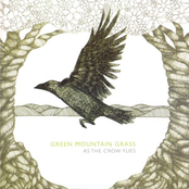 Pink Notes by Green Mountain Grass