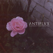 Platonic Perspectives (2020 Brazilian Edition)