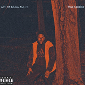 Art of Boom Bap II