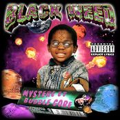 Mystère & Bubble Gore