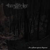 Лес цвета крыла Ворона