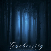 Tenebrosity