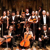 cologne chamber orchestra