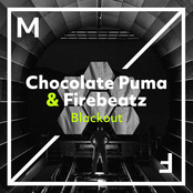 Chocolate Puma: Blackout