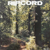 Passive Memories by Ripcord