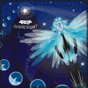 In the Night (Everything Is Magical)