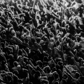 ..FEISTY (Oppidan remix)