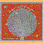 The Papermoon Sessions - Papir Meets Electric Moon