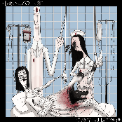 bEstIAl sOcIAlIzAtIOn