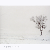 보옴이 오면