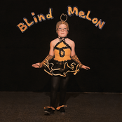 Blind Melon: Blind Melon