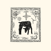 Killing the Flowers Will Not Delay Spring