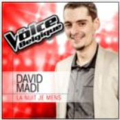 La Nuit Je Mens (From The Voice Belgique 2013)