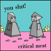 Critical Meat [Japanese Edition]