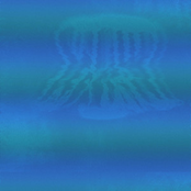 Rob Tirea: Tracksuit