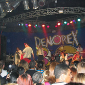 denorex 80